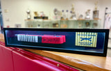 JJM Signature 8th Degree Coral Belt